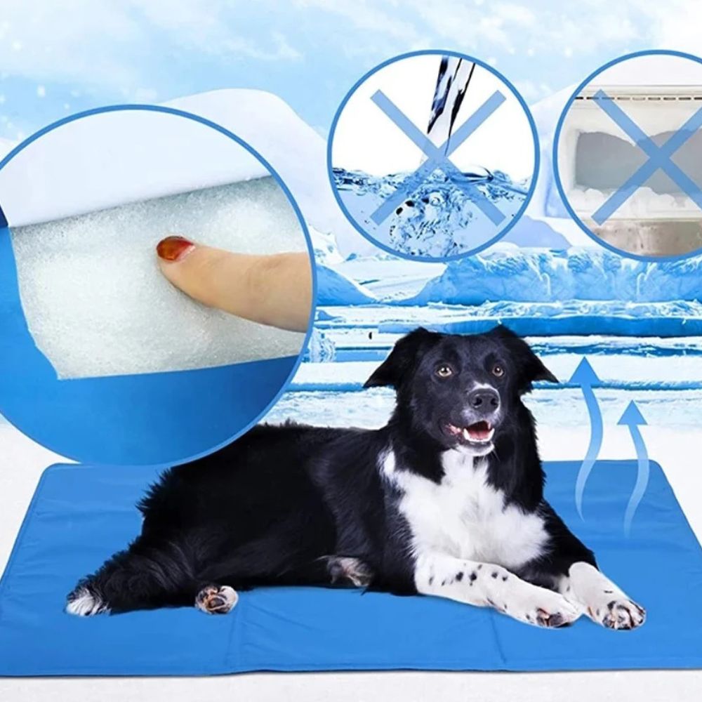 Manta Refrigerante Para Mascota 50x40cm Seguro, NO TÓXICO
